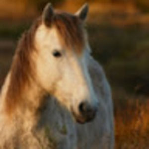 Meet your Posher, Tia